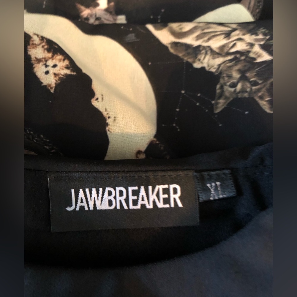 JAWBREAKER Catstellation Victorian cat print goth chiffon dress - Picture 5 of 7